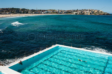 Sydney  Australien  Schwimmer im Bondi Icebergs Swimming Club