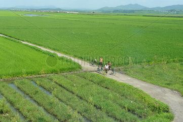 Nordkorea  Landschaft zwischen der Grenzstadt Sinuiju und der Hauptstadt Pjoengjang