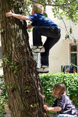 Berlin  Deutschland  Kinder klettern auf einen Baum