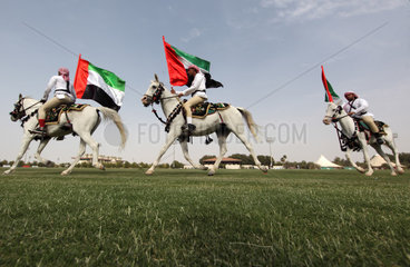 Dubai  Reiter mit Nationalflagge auf Arabischen Vollblutpferden