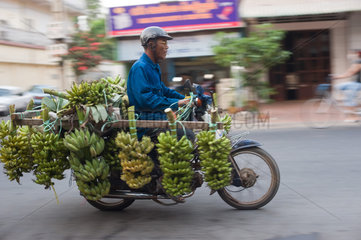 Phnom Penh  Kambodscha  ein Mann transportiert Bananenstauden mit einem Motorrad