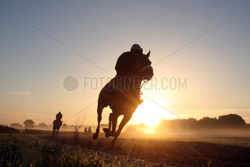 Iffezheim  Reiter und Pferde beim Ausritt am Morgen
