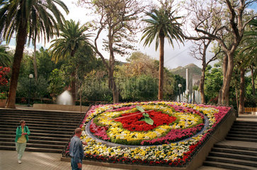 Santa Cruz de Tenerife  Teneriffa  Spanien  eine Uhr aus Blumen