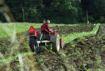 Bauer auf Traktor pfluegt sein Feld  Sued-Ostpolen