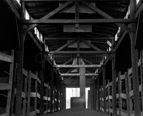 Auschwitz  Polen  eine Schlafhuette im Konzentrationslager Auschwitz-Birkenau