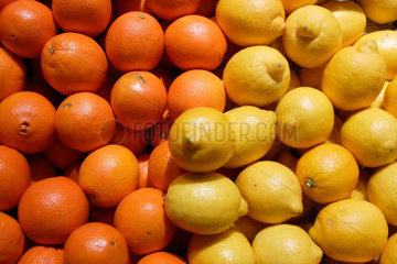 Berlin  Zitronen und Orangen