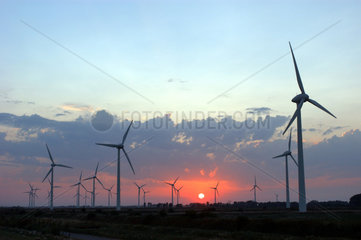 Emden  Ein Windpark im Sonnenuntergang