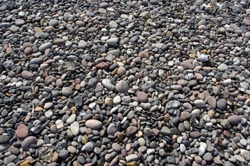Wittenbeck  Steine am Strand