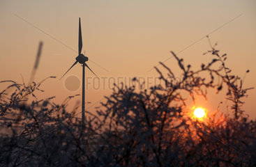 Wittmannsdorf  Deutschland  Silhouette  Windrad bei Sonnenuntergang