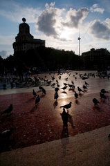Barcelona  Spanien  Tauben auf der Placa de Catalunya