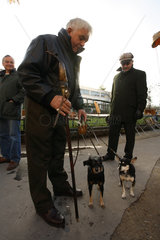 Paris  Frankreich  Mann mit seinen Hunden auf einem Flohmarkt in Montparnasse