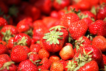 Posen  Erdbeeren