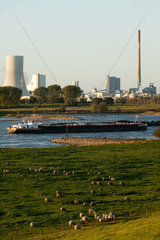Duisburg  Deutschland  Frachtschiff auf dem Rhein  dahinter das Steinkohlekraftwerk Voerde