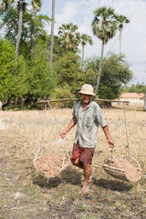 Prahut  Kambodscha  ein Mann traegt Erde ueber ein Feld