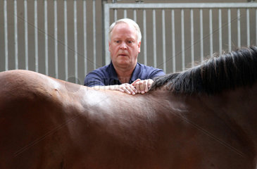 Ascheberg  Deutschland  Pferde-Osteopath Michael Stuckenberg tastet die Wirbelsaeule eines Pferdes ab