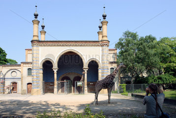 Berlin  das Giraffenhaus im Zoologischen Garten
