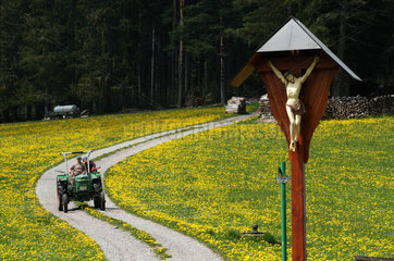 Kruzifix im Schwarzwald