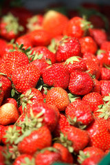 Posen  Erdbeeren