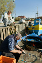 Kussfeld  Polen  kaschubischer Fischer entfernt die Schuppen von einem Fisch