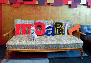 Berlin  Deutschland  Buchstaben bilden den Schirftzug Moabit auf einer Couch  davor ein Chihuahua
