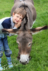 Werl  Deutschland  Junge kuschelt mit einem Esel