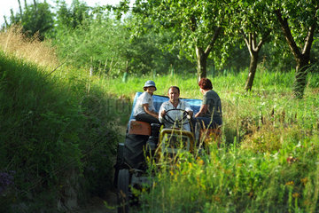 Eine Bauernfamilie auf einem Traktor  Polen