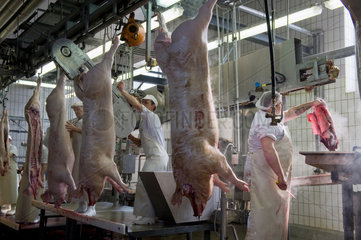 Neuruppin  Deutschland  Metzger bei der Verarbeitung geschlachteter Schweine