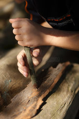 Berlin  Deutschland  kleiner Junge spielt mit Holz im Wald