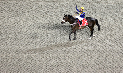 Dubai  Vereinigte Arabische Emirate  Jockey jubelt auf seinem Pferd nach dem Sieg