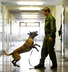 Dresden  Deutschland  Diensthundefuehrer mit einem Drogenspuerhund in der Dresdner JVA