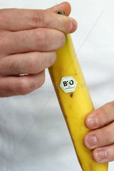 Berlin  Deutschland  eine Banane mit Bio-Siegel