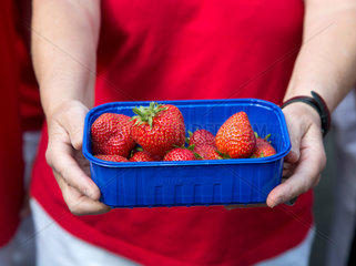 Bochum  Deutschland  eine Frau im roten Shirt haelt eine Schale mit Erdbeeren