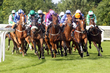 Royal Ascot  Horses and jockeys during a race
