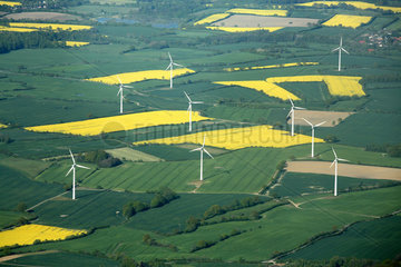 Selent  Luftbild von Raps und Windkraft