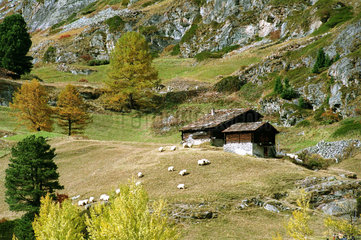 Berghuette im Wallis  Schweiz