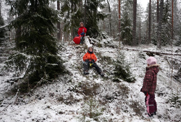 Belloe  Schweden  Kinder rodeln im Wald einen kleinen Huegel herunter