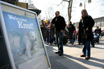 Berlin  Welcome Knut Plakat