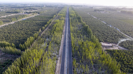 Xinhua Headlines: Man-made oasis: Xinjiang's green wall fights expanding desert