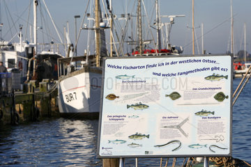 Burgstaaken  Deutschland  Fischereihafen