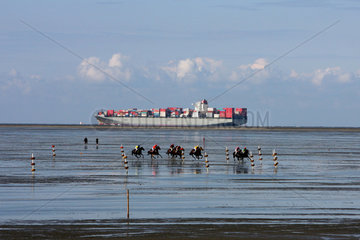Cuxhaven  Deutschland  Pferde und Jockeys beim Duhner Wattrennen