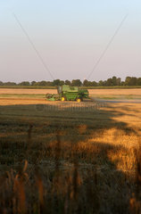 Wojnowko  Polen  Maehdrescher bei der Getreideernte
