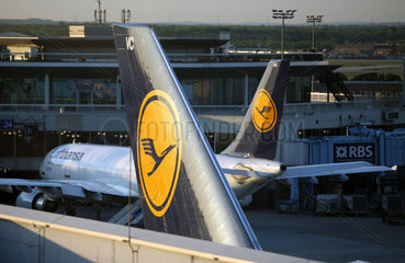 Frankfurt am Main  Deutschland  Maschinen der Lufthansa am Flughafen