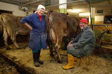 Tirol  Bauer und Baeuerin mit Freude bei der Arbeit im Kuhstall