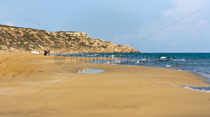 Dipkarpaz  Tuerkische Republik Nordzypern  der Golden Beach auf der Karpaz-Halbinsel