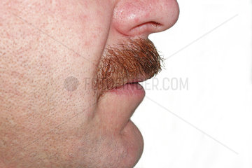 man with beard   moustache
