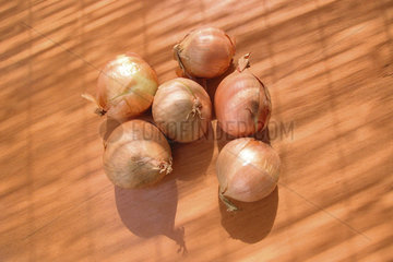 bulb   onion