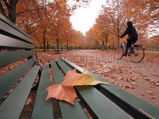 Blatt auf einer Parkbank  goldener Oktober