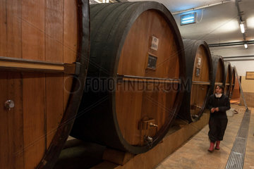 Guebwiller  Frankreich  alte Eichenfaesser in der Weinkelterei Domaines Schlumberger