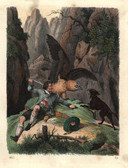 Mathias Sturz fighting a bearded vulture