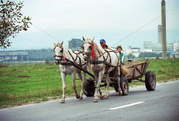 Vater und Sohn auf einer Pferdekutsche  Rumaenien